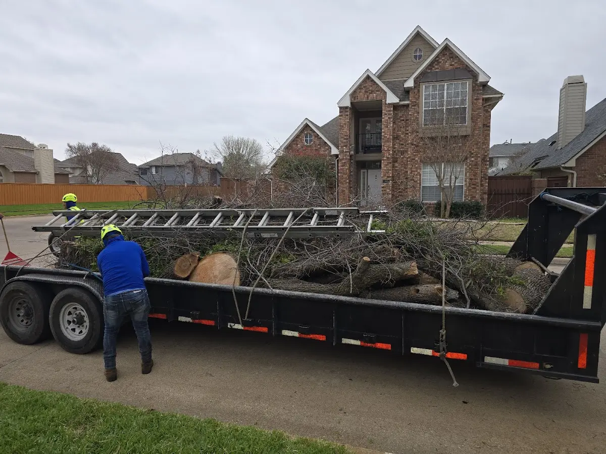 Expert Lot Clearing with proper safety equipment in Freeman